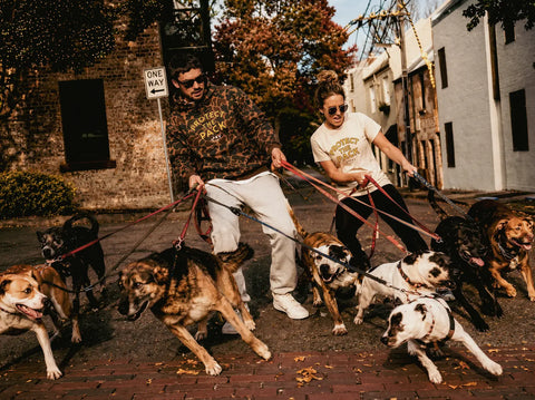 Protect the Pack