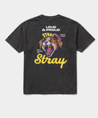 Loud & Proud Tee in Black — rescue dog tee from Stray Project. Every purchase funds shelter dog meals.