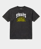 Defend The Strays Tee in Black — rescue dog tee from Stray Project. Every purchase funds shelter dog meals.