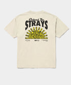 Defend The Strays Tee lifestyle styling — rescue dog tee from Stray Project