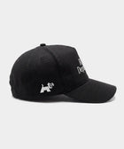Stray Department Hat back design — supporting shelter dog rescue · Stray Project