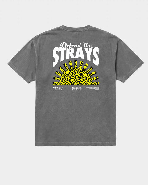 Defend The Strays Tee