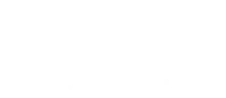 Stray Project