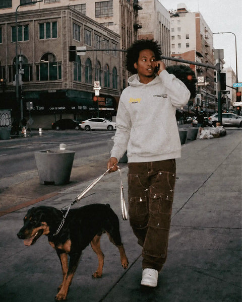 Loud & Proud Hoodie detail — shelter dog hoodie that funds shelter meals · Stray Project