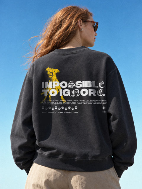 SEEN Crewneck in Vintage Black, back artwork worn against a blue sky — Stray × Rare Breed