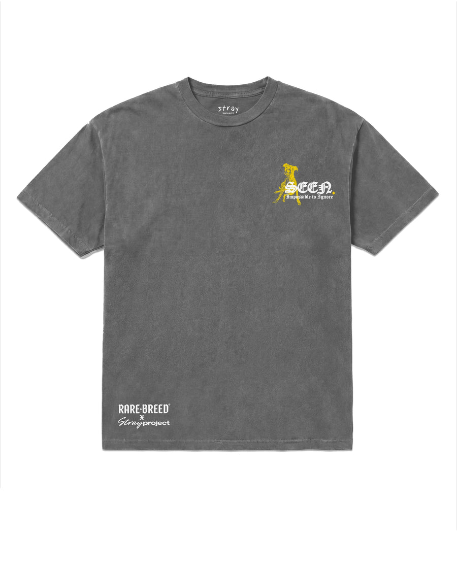 SEEN Tee in Faded Black, front view — Stray × Rare Breed